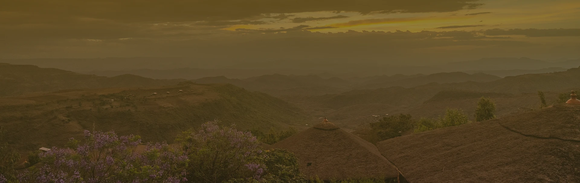 donate-header